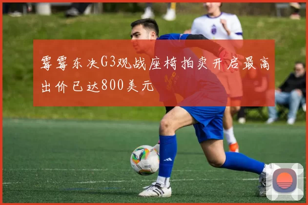 霉霉东决G3观战座椅拍卖开启最高出价已达800美元