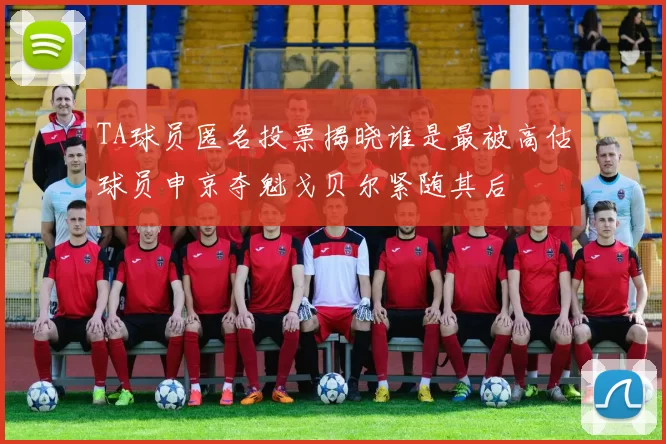 TA球员匿名投票揭晓谁是最被高估球员申京夺魁戈贝尔紧随其后